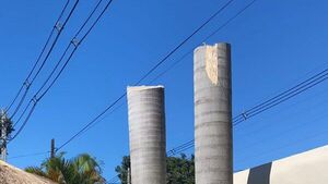 Poda de árboles por la ANDE genera indignación en redes 