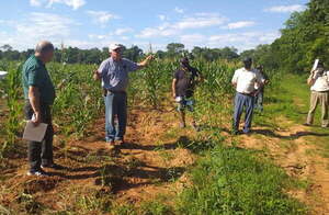Cañicultores sanjosianos observaron cultivos caña dulce complementado con abonos verdes - Noticiero Paraguay