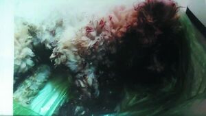 Imputado por matar a un perro de un patadón