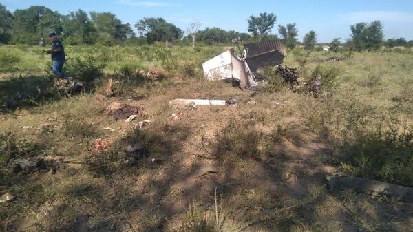 AVIONETA CAE Y DEJA TRES FALLECIDOS EN EL CHACO - Itapúa Noticias