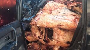 Se incautan de 2 toneladas de carne de contrabando en cruce Falcón-Clorinda