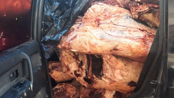 Se incautan de 2 toneladas de carne de contrabando en cruce Falcón-Clorinda