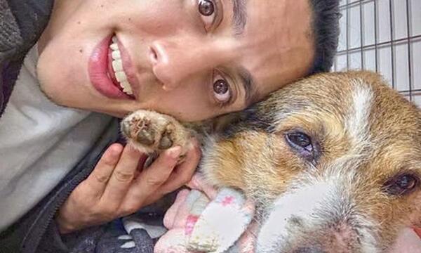 Asunción: Murió perrito envenenado del joven que vendió todo para salvarlo – Prensa 5