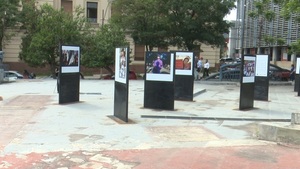 Municipalidad no retira carteles que hacen apología al aborto y hace caso omiso a reclamo ciudadano