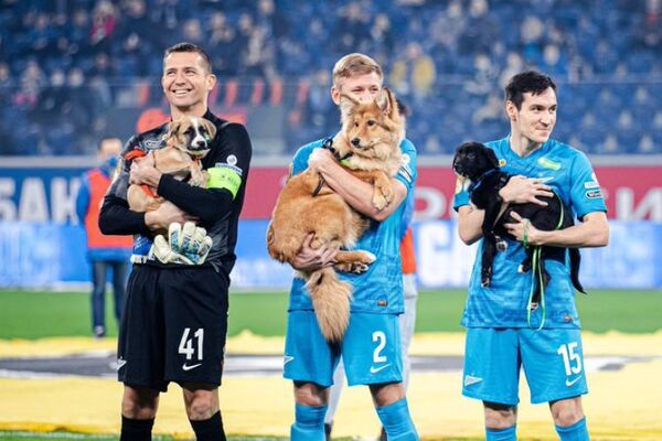 Con los perritos en brazo, los jugadores del Zenit instaron a la adopción de mascotas