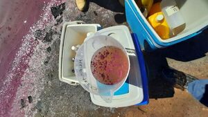 El Cemit tomó muestras de laguna “colorada” de Filadelfia  - Nacionales - ABC Color
