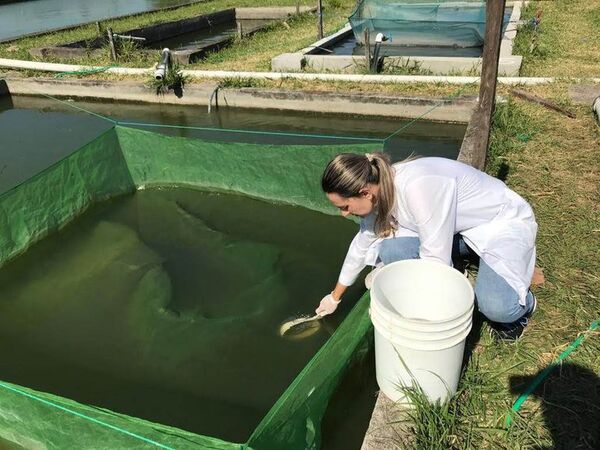 Ayolas: primeras Ingenieras Acuícolas del Paraguay - Nacionales - ABC Color