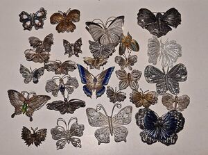Mariposas de filigrana del mundo aterrizan en el Archivo Nacional - Cultura - ABC Color