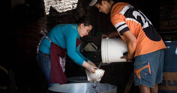 La Nación / Banco Mundial: 60% de los hogares en Paraguay sin “signos de recuperación” por pandemia