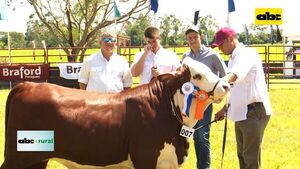 Joven eligió a los mejores Braford de la Expo Guairá 2021 - ABC Rural - ABC Color