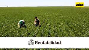 Resultados de fertilización de base en soja, en campos bajos - ABC Rural - ABC Color