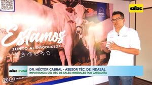 Cuatro nuevas opciones de sales para ganado bovino - ABC Rural - ABC Color