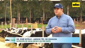 Nutrición de vacas secas o en pre parto - ABC Rural - ABC Color