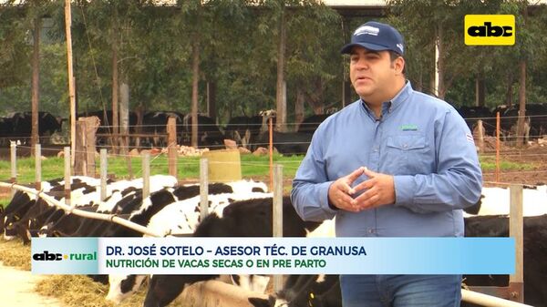 Nutrición de vacas secas o en pre parto - ABC Rural - ABC Color