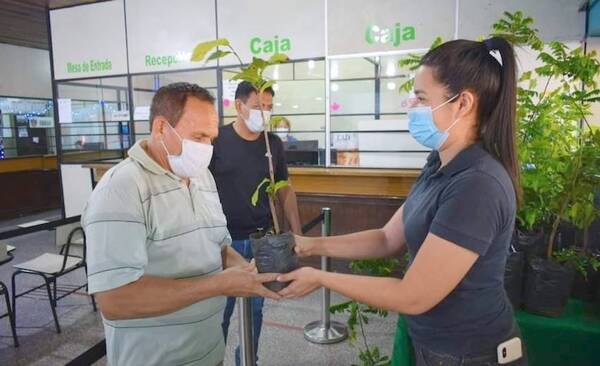 Crónica / Regalaron plantitas a los contribuyentes
