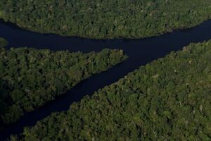 El conocimiento local permite mejorar el control de la fauna en la Amazonía - Ciencia - ABC Color