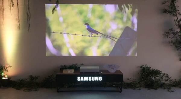 Samsung Paraguay presentó Aves del Paraguay