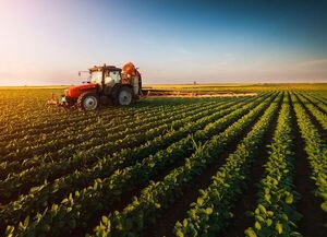 Para el agro, urge nueva adjudicación para dragado
