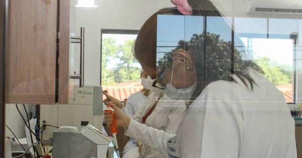 La Nación / Salud Pública cuenta con capacidad de detectar la variante ómicron