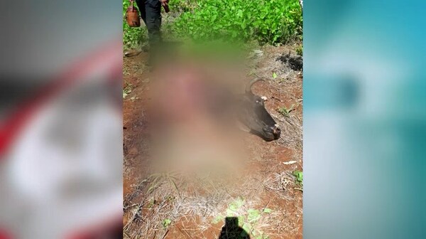 Cansados de abigeos en Colonia Paraná, pobladores exigirán más presencia policial.