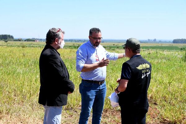 Definen zona donde se instalará una fábrica de ensamblaje de aviones - ABC en el Este - ABC Color