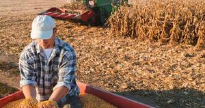 La Nación / Campañas agrícolas consolidan una mejor expectativa económica