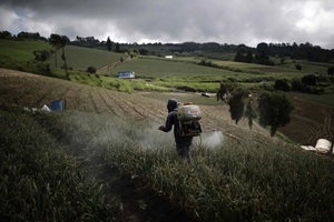 El IICA resalta la salud de los suelos como principal reto para América - MarketData