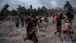 Elevan a 22 muertos por erupción de volcán Semeru en Indonesia