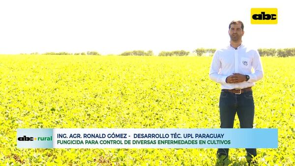 Fungicidas con fórmulas especiales contra enfermedades en soja - ABC Rural - ABC Color