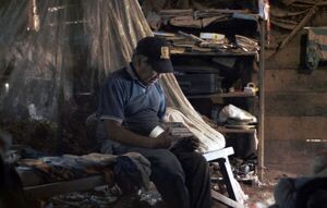 Premios Óscar: 93 películas aspiran a mejor película internacional - Cine y TV - ABC Color