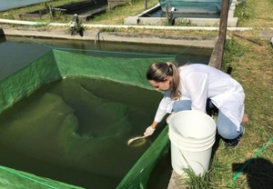 Ayolas: primeras Ingenieras Acuícolas del Paraguay