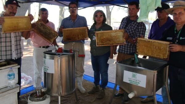 Obtienen excelente producción de miel de abeja en el Ñeembucú
