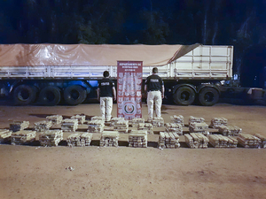 Decomisan media tonelada de marihuana oculta en las ruedas de un camión