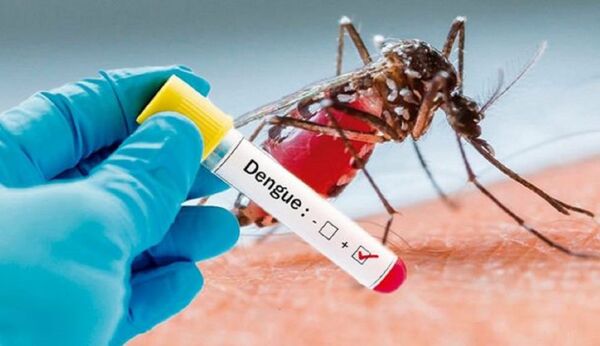 Salud notifica que casos sospechosos de dengue llegan a 335 por semana