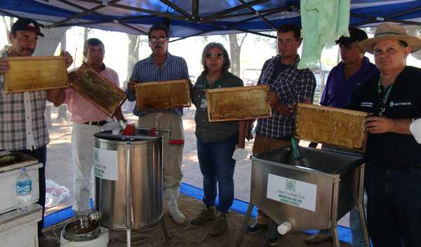 Apicultores destacan buena cosecha de miel de abeja en Ñeembucú