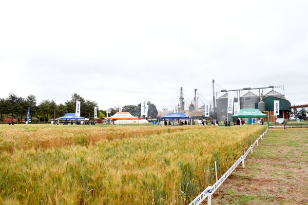 GPSA presentó calidad certificada en jornada triguera