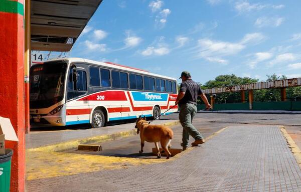 Operativo Caacupé: realizan controles preventivos en la TOA