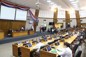 Diputados sancionan crédito de US$ 250 millones para “mejora” de red de la ANDE - Nacionales - ABC Color