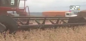 Economía en destaque: Exoneración de multas y exportación de maquila - SNT