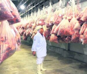 Mercado internacional paga casi 30% más por menudencia bovina