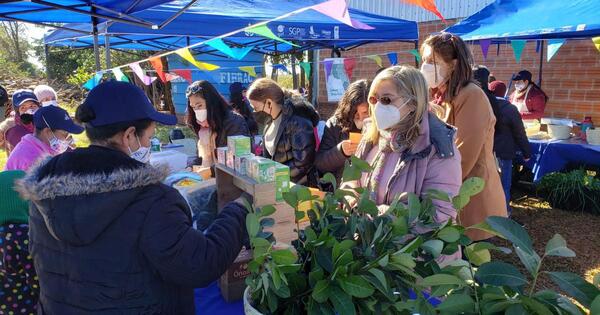 Pequeñas Donaciones celebrará 10 años de acción local con agroferia y cultura