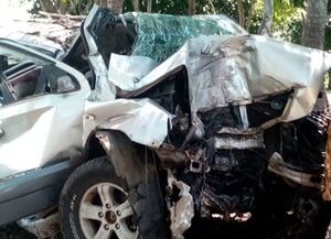Choque de camioneta contra un árbol deja tres fallecidos en Sapucái