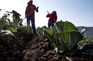 Lanzan en México programa para contribuir al buen uso de suelos en América - MarketData