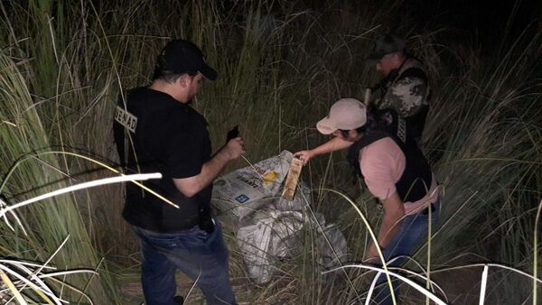 Detectaron marihuana a orillas del Paraná