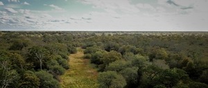 Meteorología anuncia una jornada calurosa con vientos variables