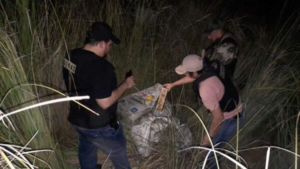 Detectaron marihuana a orillas del Río Paraná