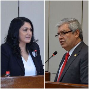 Comisión de RR.EE. dictamina a favor de Riera y Nancy Ovelar para embajadores - Nacionales - ABC Color