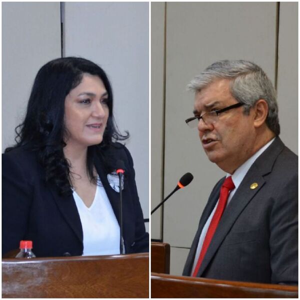 Comisión de RR.EE. dictamina a favor de Riera y Nancy Ovelar para embajadores - Nacionales - ABC Color