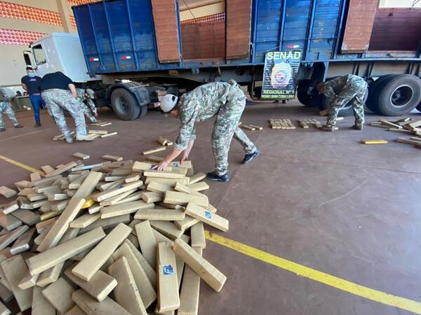 Senad incautó más de 400 kilos de marihuana y detuvo a una persona en el norte del país - .::Agencia IP::.