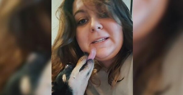 Adoptó un perro en EE.UU. y descubrió que solo responde si le hablan en español - SNT
